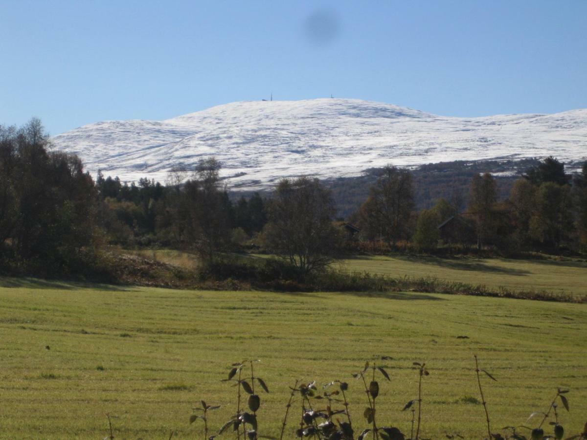 Roste Hyttetun Og Camping Os (Hedmark) Екстериор снимка